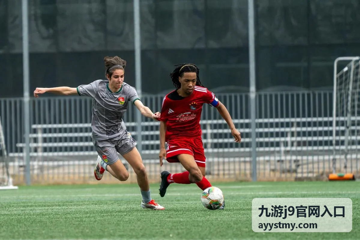 九游j9官网入口等级门槛与成长路径说明封面